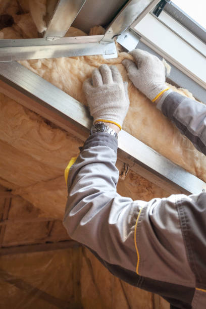 Best Insulation for New Construction  in Orange, TX