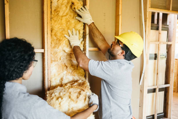 Best Spray Foam Insulation  in Orange, TX