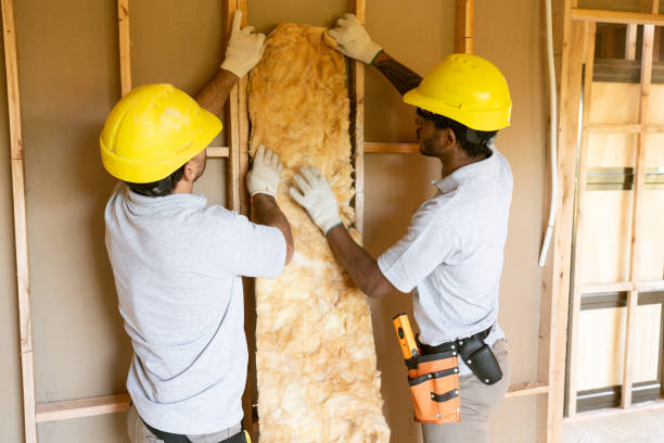 Best Professional Insulation Contractor  in Orange, TX