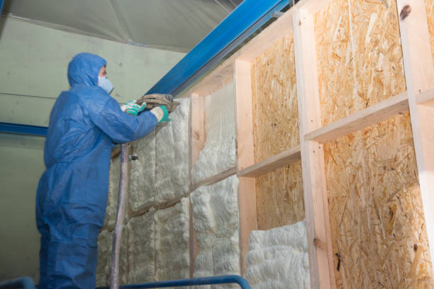 Best Insulation Inspection Services  in Orange, TX